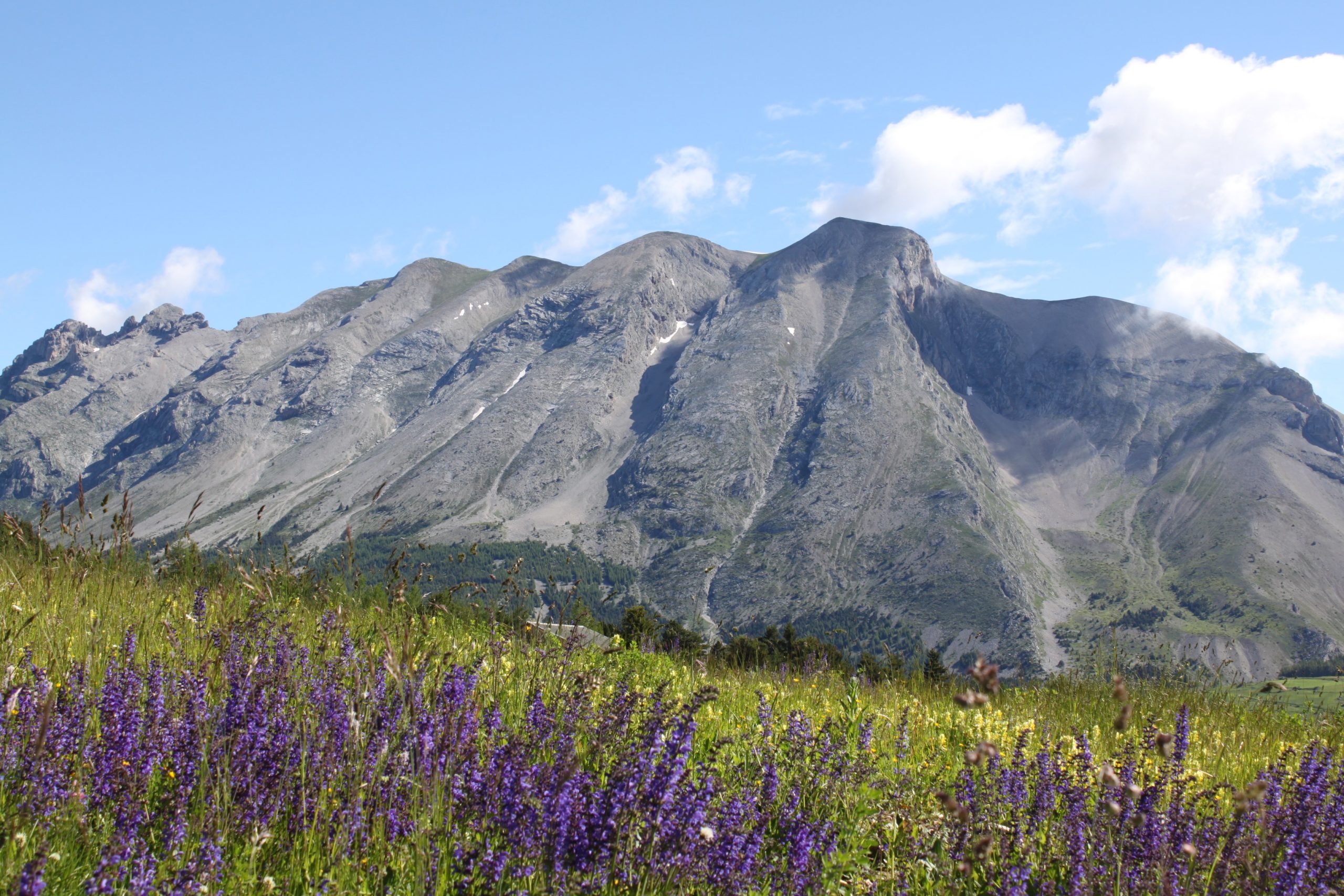 vue résidence coté nord